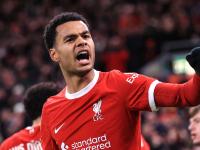 IM电竞官网-利物浦前锋刷新进球纪录，成为焦点人物的简单介绍