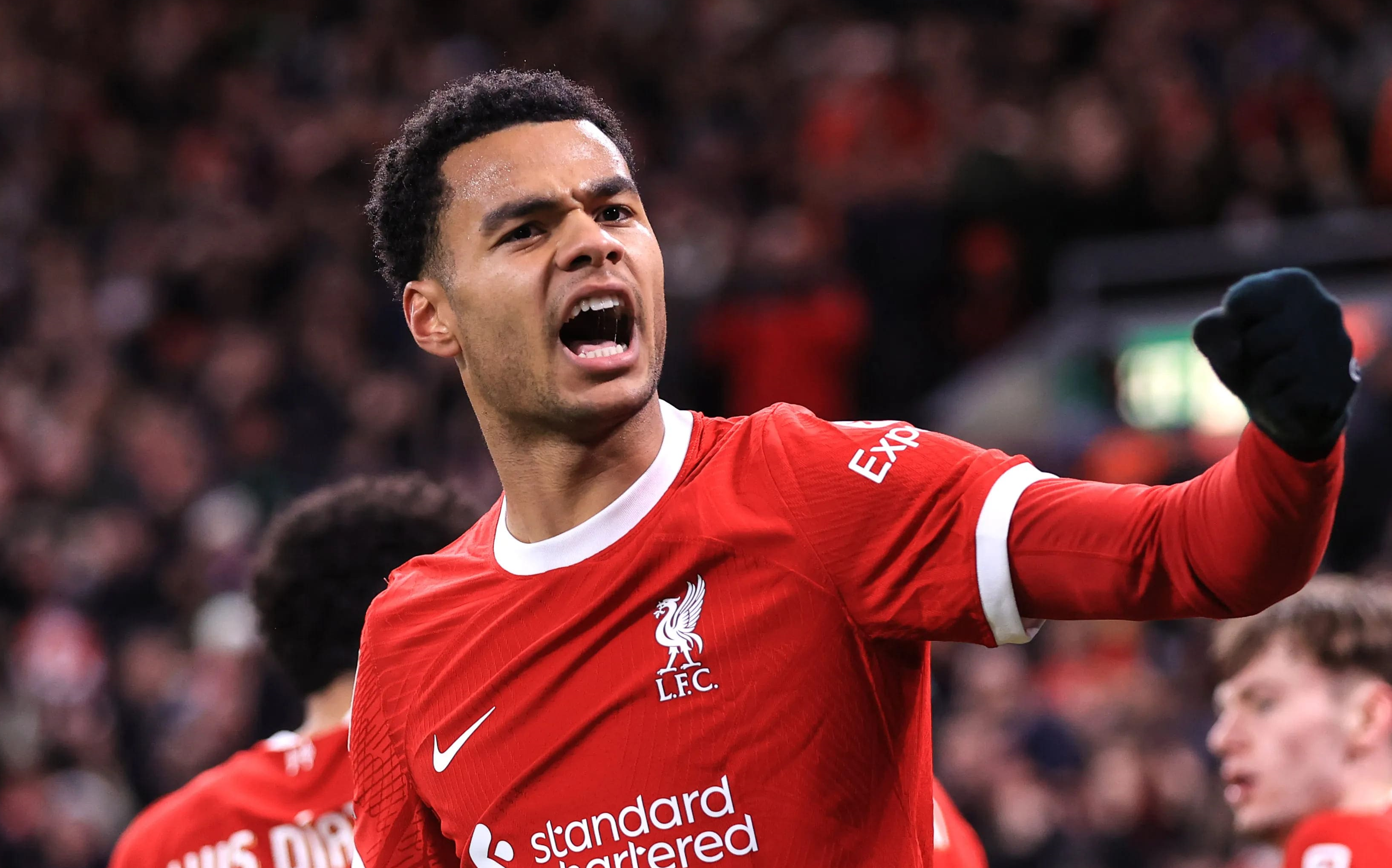 利物浦前锋刷新进球纪录，成为焦点人物的简单介绍