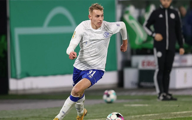 沙尔克04将对阵雄狮，争取扳回劣势的简单介绍