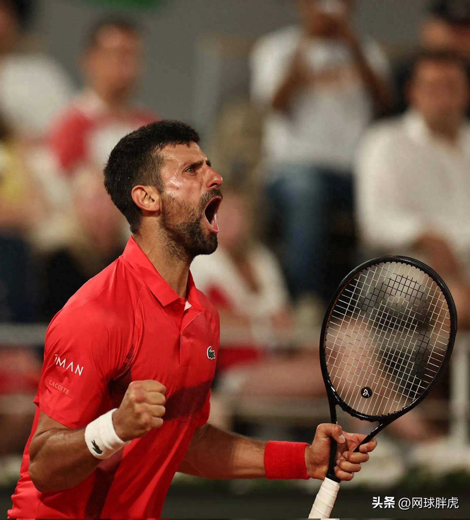 法国网球队强势欧洲网球队，德约科维奇高光表现的简单介绍